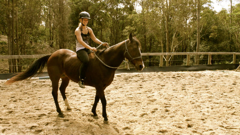 Leave life's stresses behind and visit the beautiful Bonogin Valley and treat your family and friends to an exclusive private horse riding session!