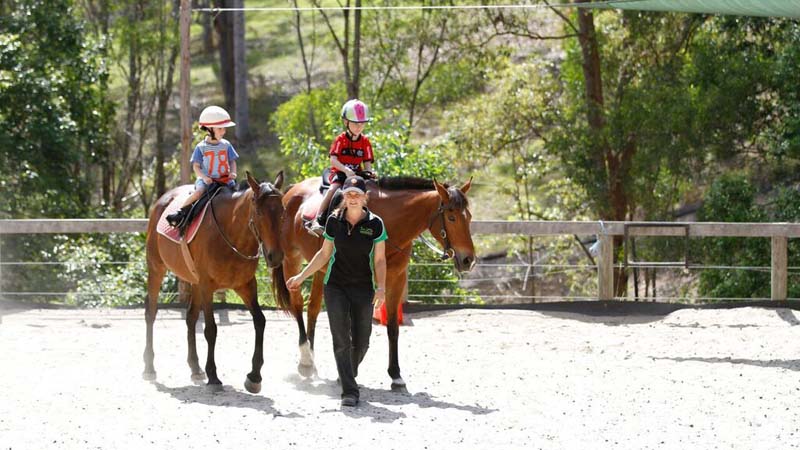 Experience the magic of horse riding with a one hour lesson at the scenic Bonogin Valley Horse Retreat!