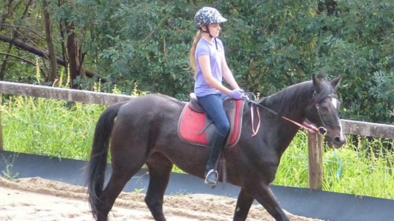 Experience the magic of horse riding with a one hour lesson at the scenic Bonogin Valley Horse Retreat!