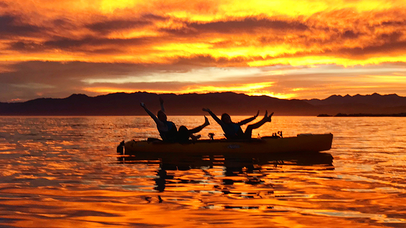 Experience the magic of a Sunset Pedal Kayak Tour in the beautiful region of Kaikoura and get up close and personal to the regions incredible fur seals!