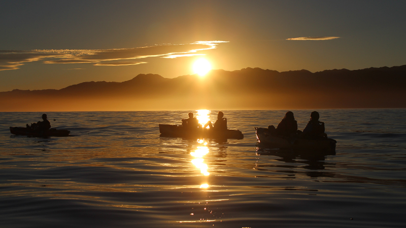 Experience the magic of a Sunset Pedal Kayak Tour in the beautiful region of Kaikoura and get up close and personal to the regions incredible fur seals!