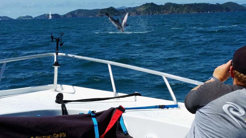 Join us for an incredible boat trip out to the world famous Hole in the Rock and discover some of the most beautiful islands in the Bay!