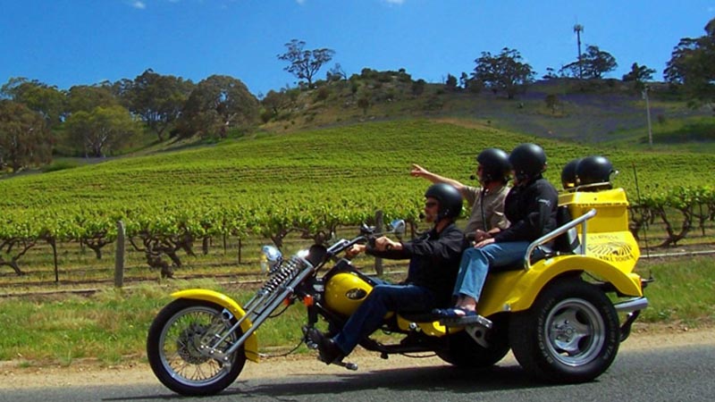 The ultimate Barossa adventure and the regions most popular sightseeing tour!