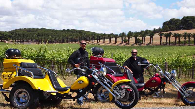 The ultimate Barossa adventure and the regions most popular sightseeing tour!