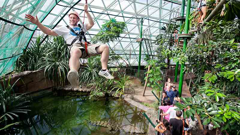 Get the ultimate Cairns Zoom experience with 2 hours of unlimited access to the High and Mid Zoom as well as well as a host of other activities!