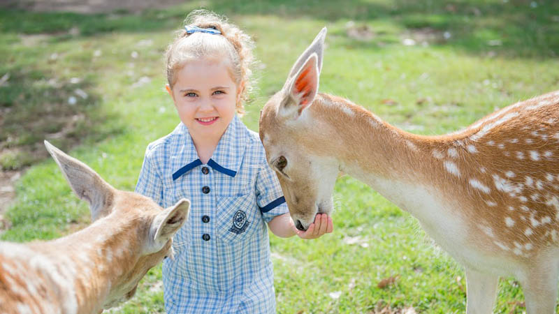 Zoos & Animal Parks