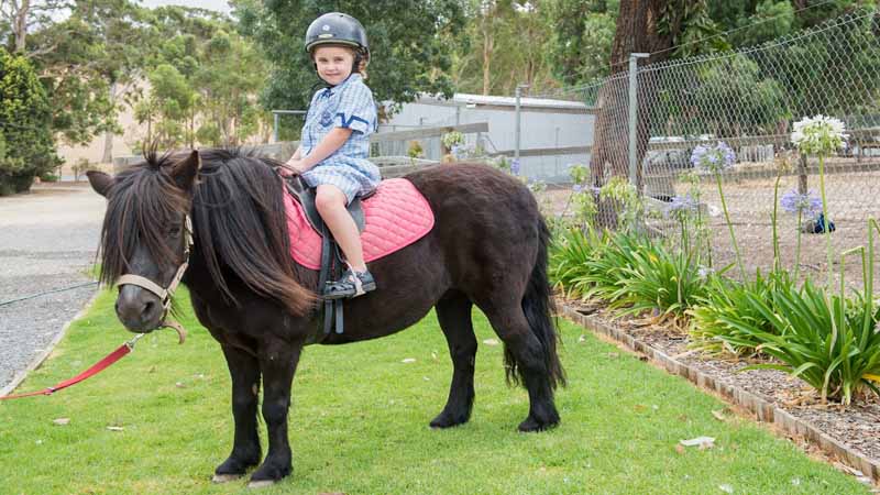 Enjoy a fun filled day out with the family in the beautiful Adelaide Hills and experience a day at the amazing Hahndorf Farm Barn! 