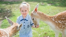 Hahndorf Farm Barn - A Day On The Farm - Individual Day Pass