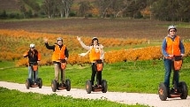 Seppeltsfield Segway Tour - Segway Sensation SA