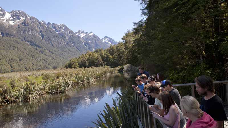 Milford Sound Day Trip Ex Queenstown
Join Kiwi Discovery onboard a luxury coach from Queenstown for a daylong expedition to experience the immense natural beauty and teaming wildlife of one of New Zealand's most beautiful and unique places