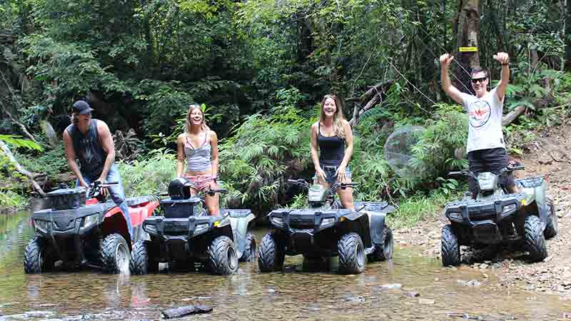Ride your very own ATV 4 Wheel Buggy through the incredible World Heritage Rainforest on an unforgettable half day ATV tour!