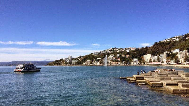 Take a day out from the city as you sail the harbour to picturesque Days Bay.