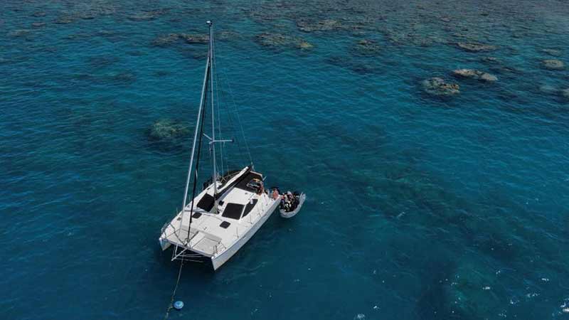 Join us for a day of Whitsundays sailing aboard Illusions 2 and see why past customers have said we are the best day cruise in the Whitsundays!