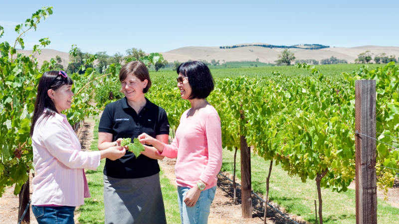 Premium wine tastings, a 2 course lunch and spectacular views await you on this full day tour.