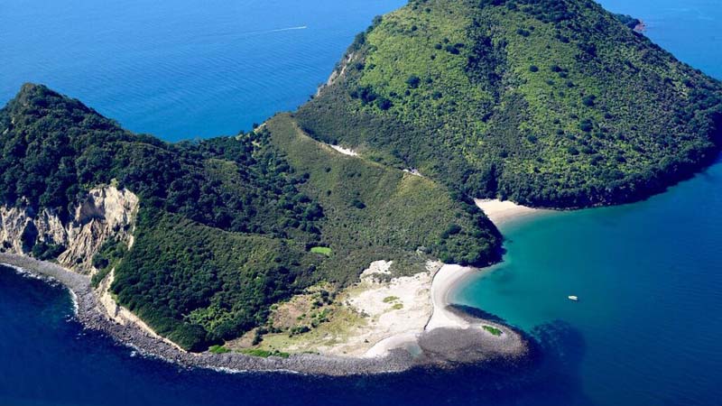 Take to the skies on an exhilarating scenic flight to New Zealand’s only active marine volcano!