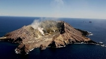 White Island & Whale Island - 1 Hour Scenic Flight 