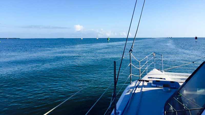 Join the crew at Aria Cruises aboard our Catamaran as we take sail to Stradbroke Island for a day Whale Watching adventure!