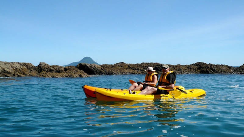 Get your paddle on and discover the paradise that is Ohiwa Harbour with a 3 hour double kayak Hire!