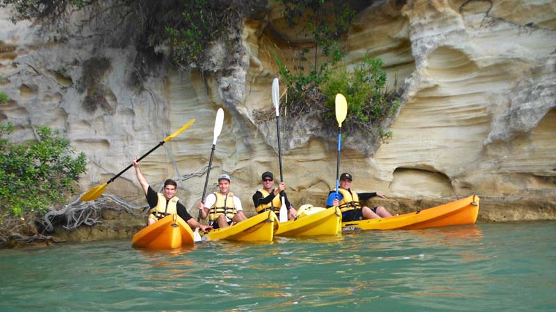 Paddle in paradise and explore the natural beauty of the Ohiwa Harbour with a 2.5 hour fascinating guided kayak tour!