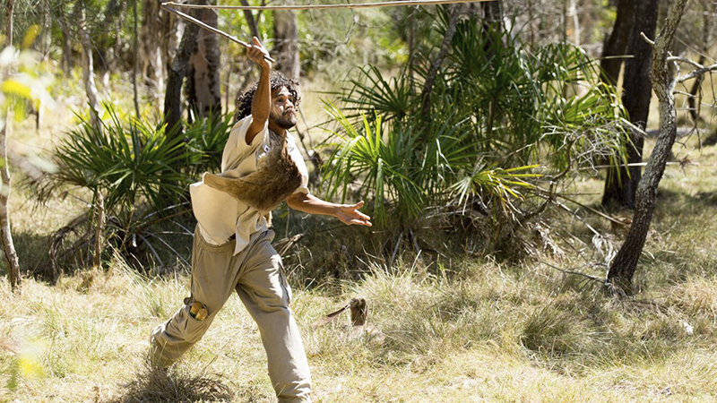 Join us on the Goolimbil ‘Black Cockatoo’ Walkabout, an authentic indigenous hunting, gathering and tasting experience of a lifetime from the Town of 1770 in Queensland. You can enjoy a theatrical, LARCtastic eco experience and learn about the wonderful culture that lived here sustainably for tens of thousands of years.
