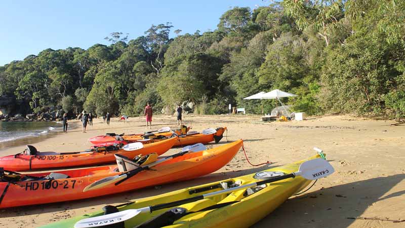 Join Manly Kayaks for an incredible self-guided kayak tour of the beautiful Manly waterways as you discover pristine sandy beaches and amazing lookout points...
