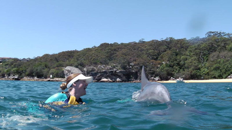 Join Manly Kayaks for an incredible self-guided kayak tour of the beautiful Manly waterways as you discover pristine sandy beaches and amazing lookout points...