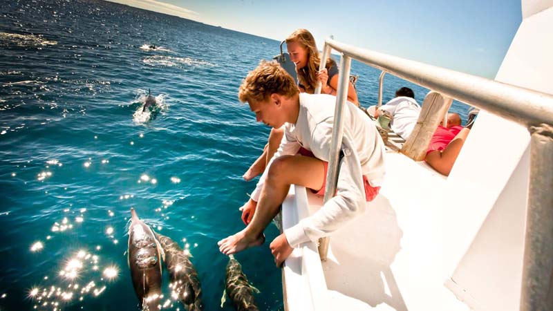 Experience a real ocean safari on a fun filled Island & Wildlife Cruise onboard Tauranga’s largest charter boat, the Bay Explorer!