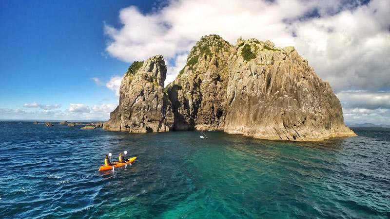 Experience a real ocean safari on a fun filled Island & Wildlife Cruise onboard Tauranga’s largest charter boat, the Bay Explorer!