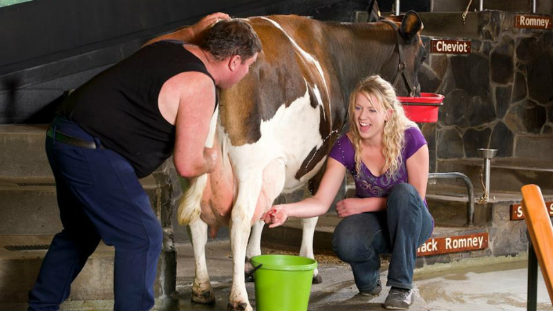 Come and see the  legendary Agrodome Farm Show! Every aspect of farming in a full hour of  family entertainment.