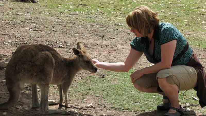 Join us for a tour of the Yarra Valley as we visit Healesville Sanctuary, enjoy wine tasting and a winery lunch, and include a visit to a chocolaterie or gateway estate!