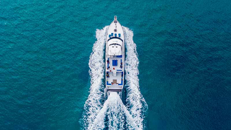 Experience the adventure of a lifetime on an exciting 3 hour Dolphin and Seal Swim cruise on the sheltered shallow waters of Port Phillip Bay.