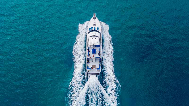 Experience the adventure of a lifetime on an exciting 3 hour Dolphin and Seal Swim Cruise on the sheltered shallow waters of Port Phillip Bay...