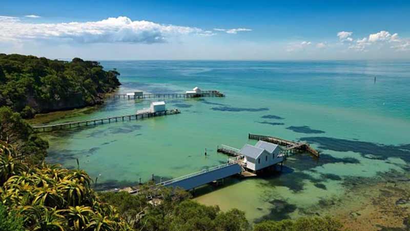 Join Moonraker Charters for an exciting Dolphin and Seal Adventure Cruise and get up close and personal to Sorrento's vast array of fascinating wildlife!