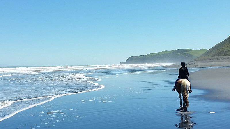 Get back to nature with a 2 hour horse adventure and discover beaches, bush and farmland from the saddle!