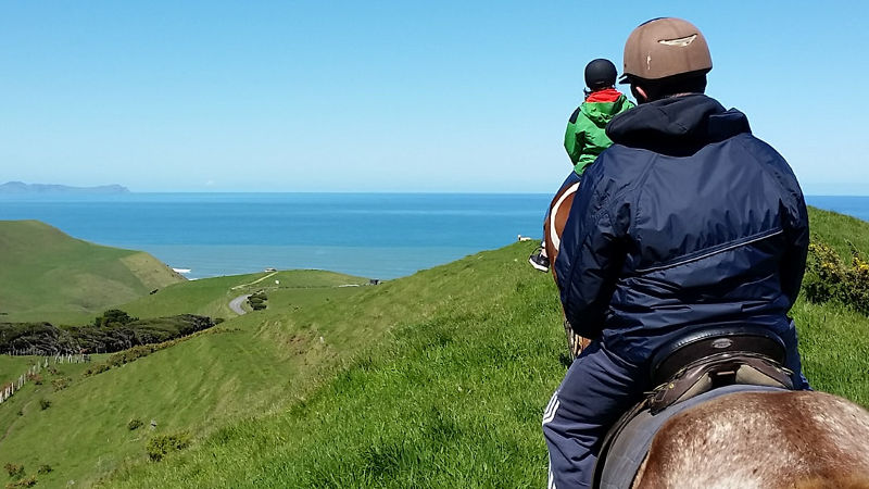 Get back to nature with a 2 hour horse adventure and discover beaches, bush and farmland from the saddle!