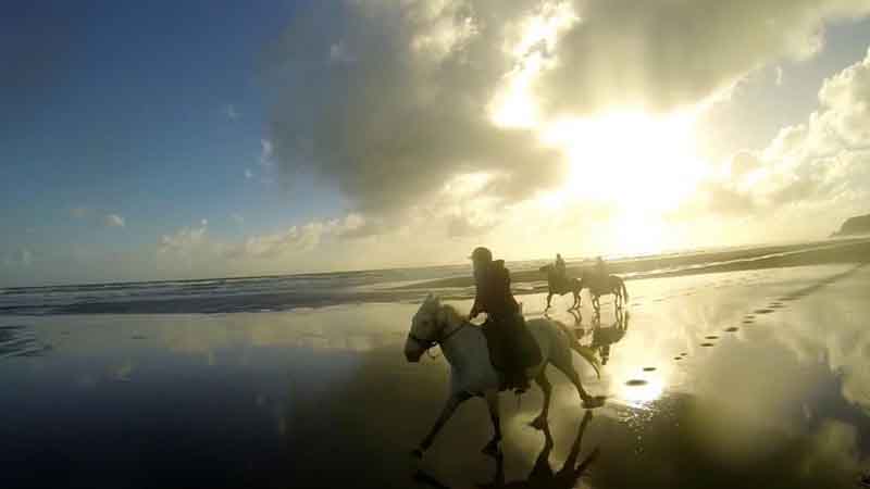 Get back to nature with a 2 hour horse adventure and discover beaches, bush and farmland from the saddle!