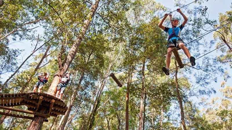 Reach new heights and challenge yourself to a vast array of exciting tree top challenges at Trees Adventure - Sydney's premier eco attraction!