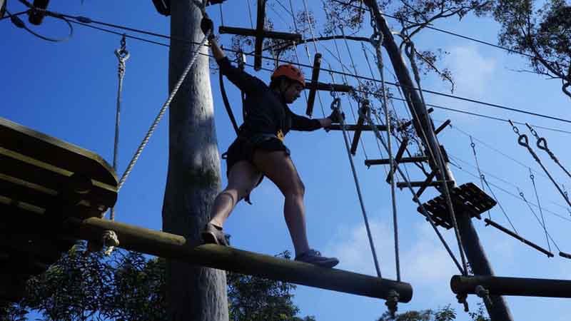 Reach new heights and challenge yourself to a vast array of exciting tree top challenges at Trees Adventure - Sydney's premier eco attraction!