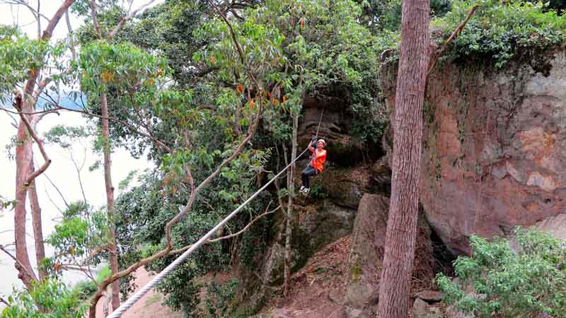 Reach new heights and challenge yourself to a vast array of exciting tree top challenges at Trees Adventure - Sydney's premier eco attraction!