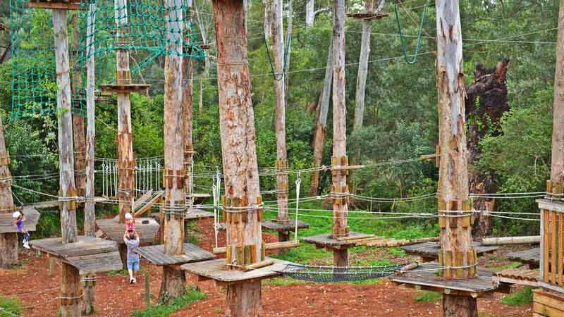 Experience trees like never before and unleash your inner monkey at Trees Adventure - Sydney’s ultimate eco-adventure!