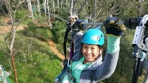 Trees Adventure - High Ropes - Grose River Park