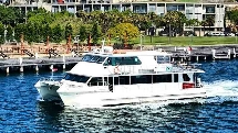 Oz Whale Watching and Sydney Harbour Cruise Incl Lunch or Breakfast