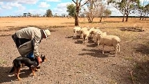 Warrook Farm Tour - Aussie Wildlife and Farm Experience