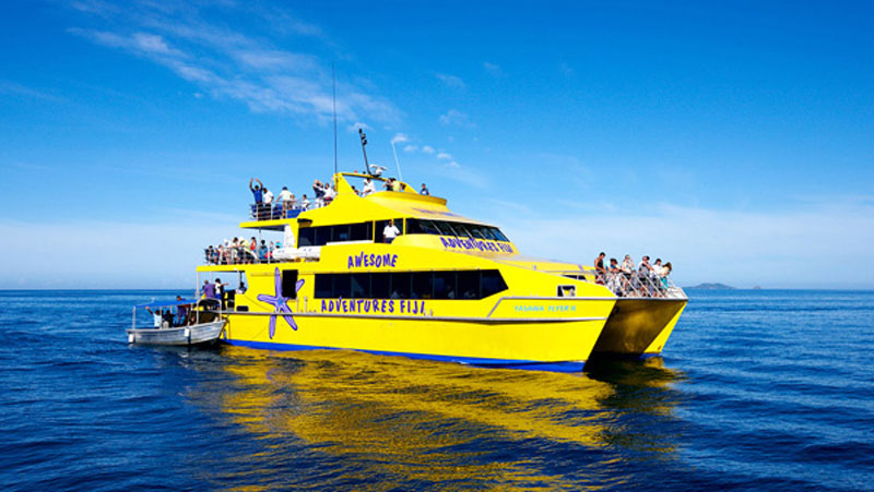 Great snorkelling 