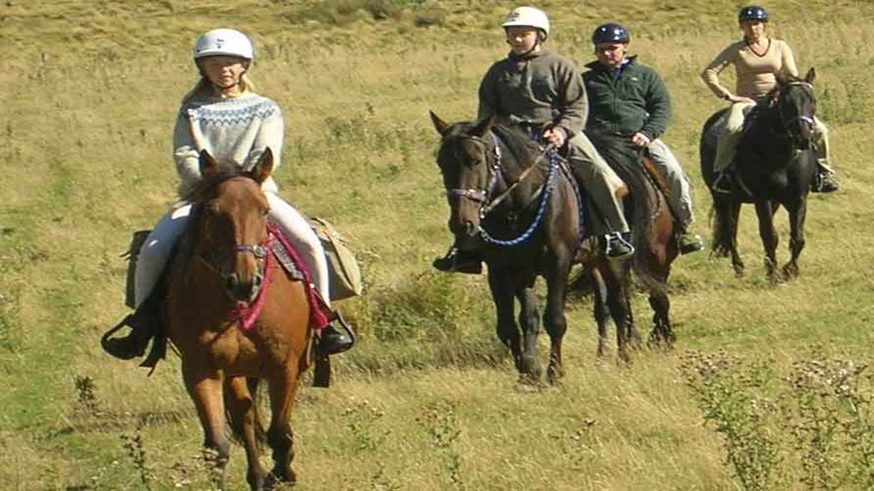 Enjoy riding with spectacular scenic lookouts, through the Waimakariri river canyon. Horses and trails to suit all abilities in Canterbury's dramatic foothill country.  Just a lovely 50 minutes drive west from Christchurch.