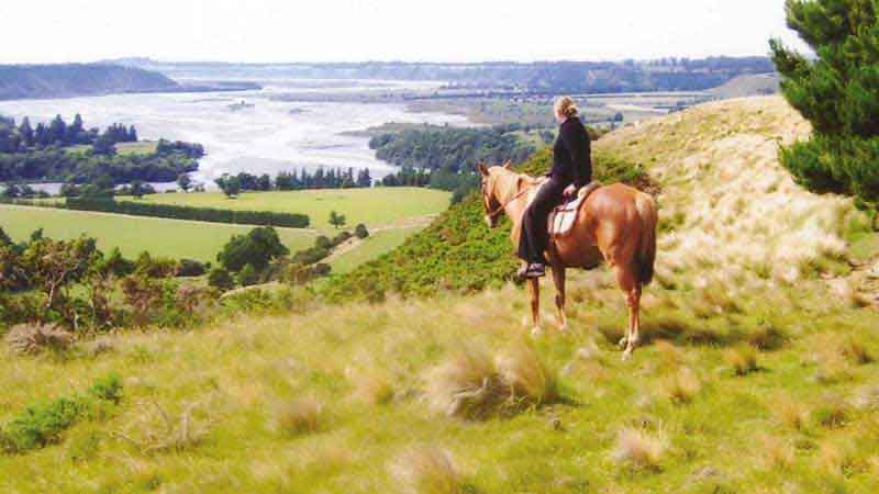 Enjoy riding with spectacular scenic lookouts, through the Waimakariri river canyon. Horses and trails to suit all abilities in Canterbury's dramatic foothill country.  Just a lovely 50 minutes drive west from Christchurch.