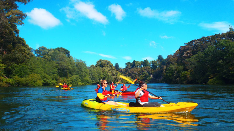 Discover Raglan from a different perspective -hire a Kayak and enjoy stunning views whilst paddling. 