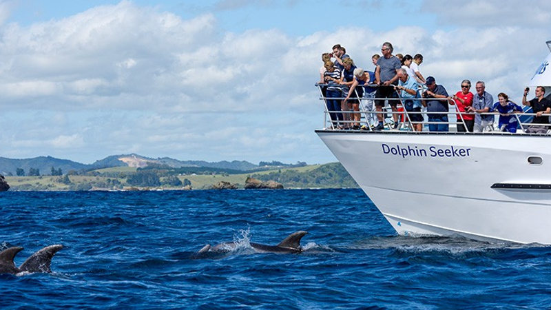 Experience a fascinating full day trip to the incredible Bay of Islands and enjoy a Hole in the Rock Dolphin Watching Cruise.