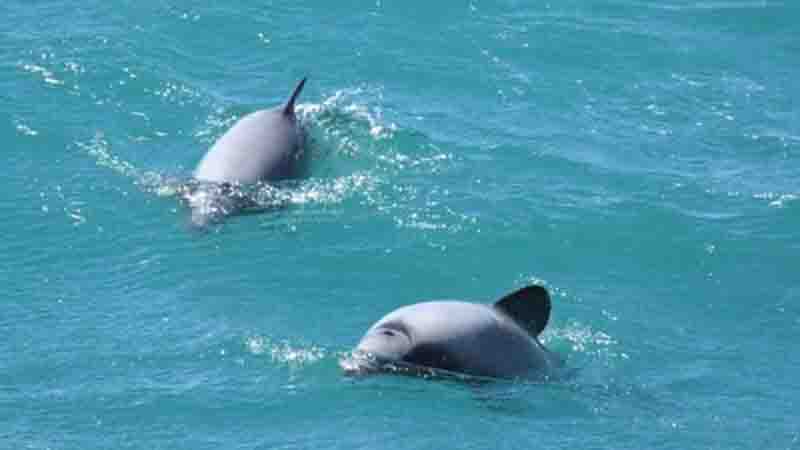 Great snorkelling 