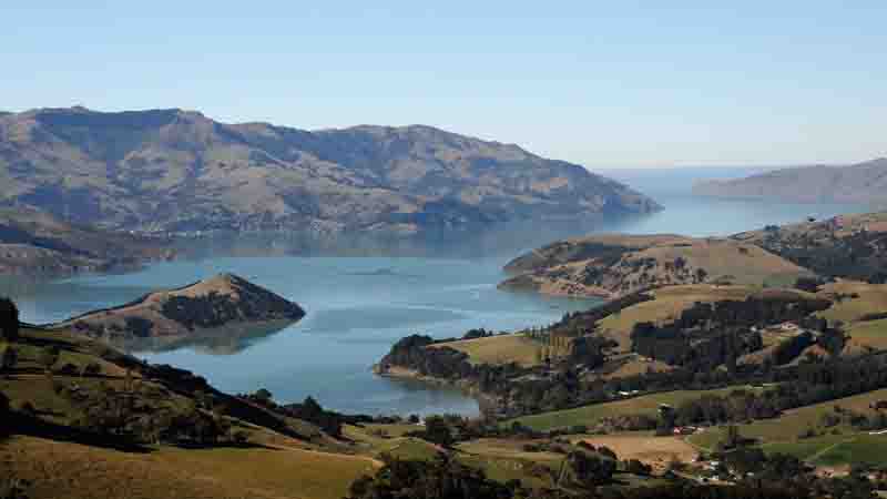 Experience the best of Akaroa and Banks Peninsula with an exciting scenic day tour onboard the Akaroa Shuttle!